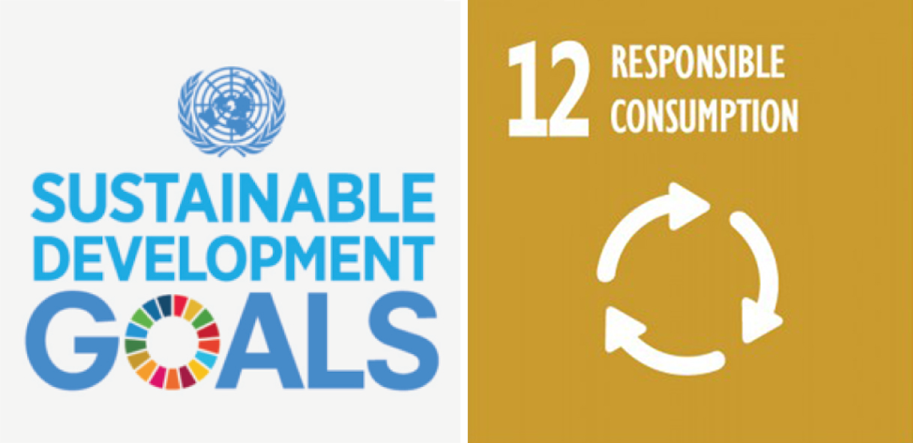 UN_SDG_12